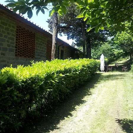 Amazing In Tuscany Rustic Style La Lama