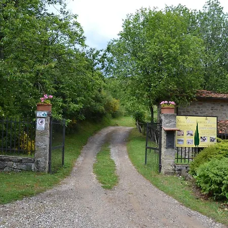Apartment Two-room In Tuscan Rustic Style