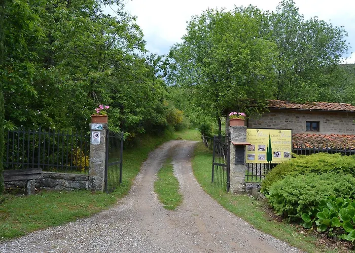 Lejlighed Amazing In Tuscany Rustic Style